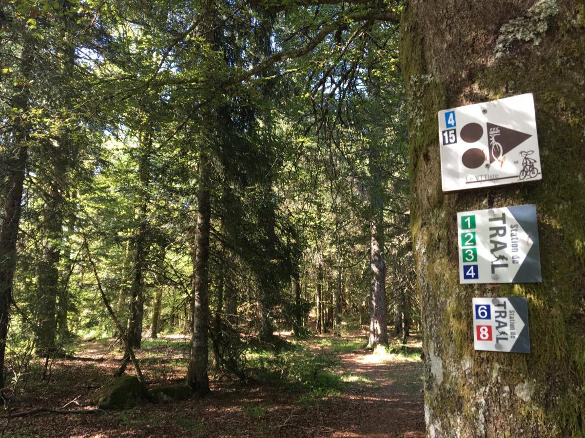 Apartmán Le Belvosgien Gérardmer Exteriér fotografie